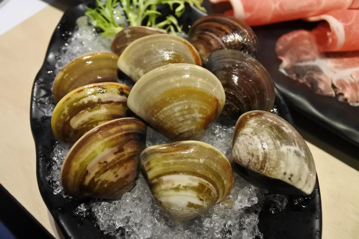 DSC_5316.JPG DSC_5316.JPG