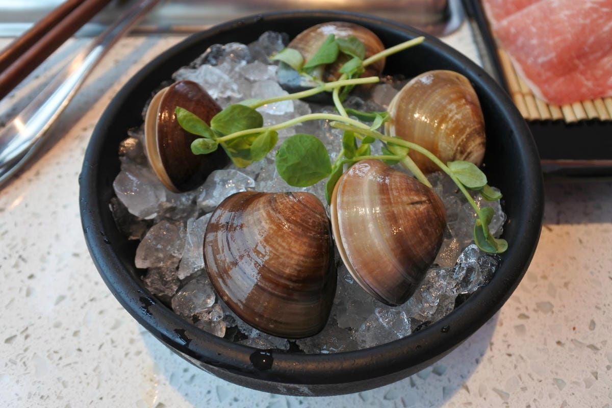 DSC_6187.JPG DSC_6187.JPG