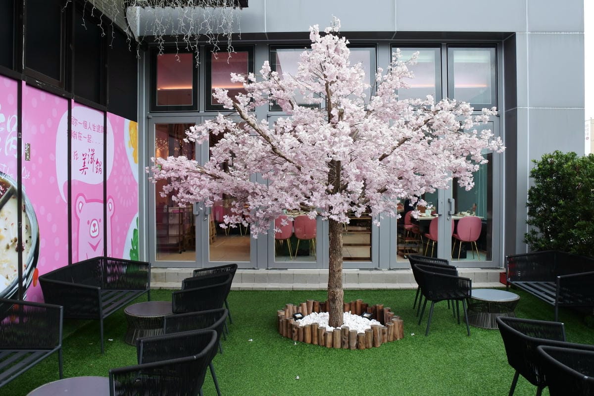 DSC_6142.JPG DSC_6142.JPG