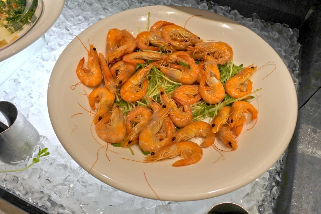 DSC_7448.JPG DSC_7448.JPG