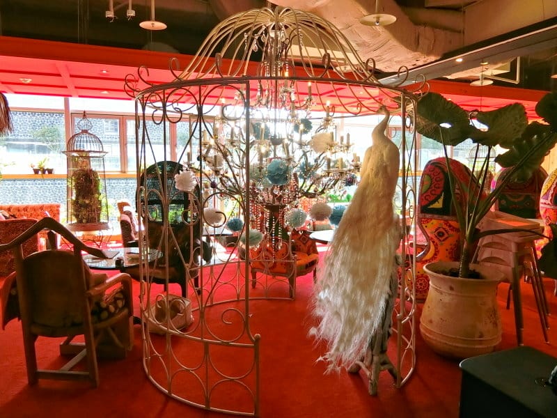 CIMG9913.JPG CIMG9913.JPG