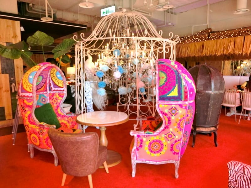 CIMG9900.JPG CIMG9900.JPG