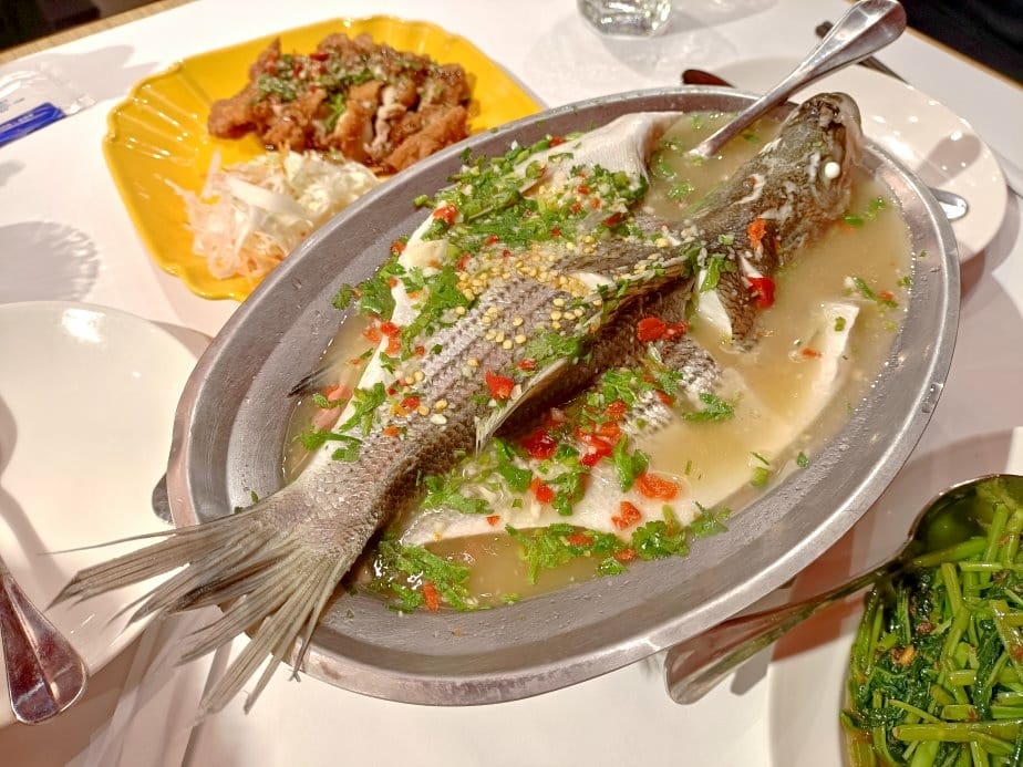 IMG20220329182136.jpg IMG20220329182136.jpg