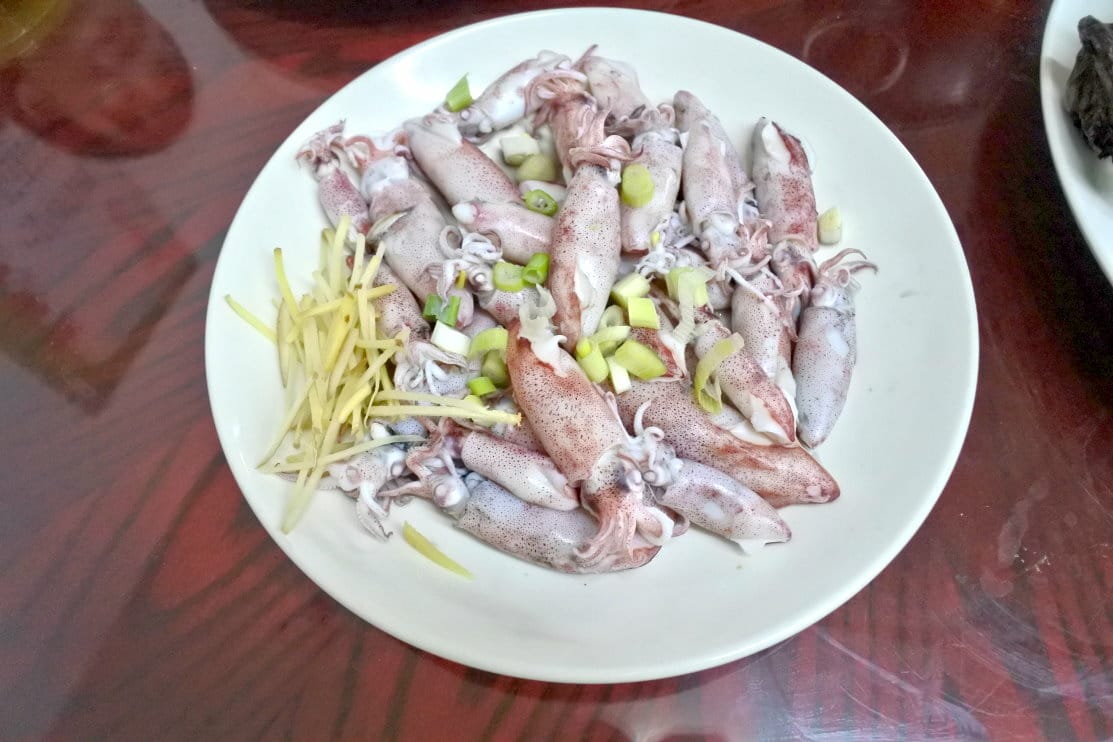 DSC_1472.JPG DSC_1472.JPG