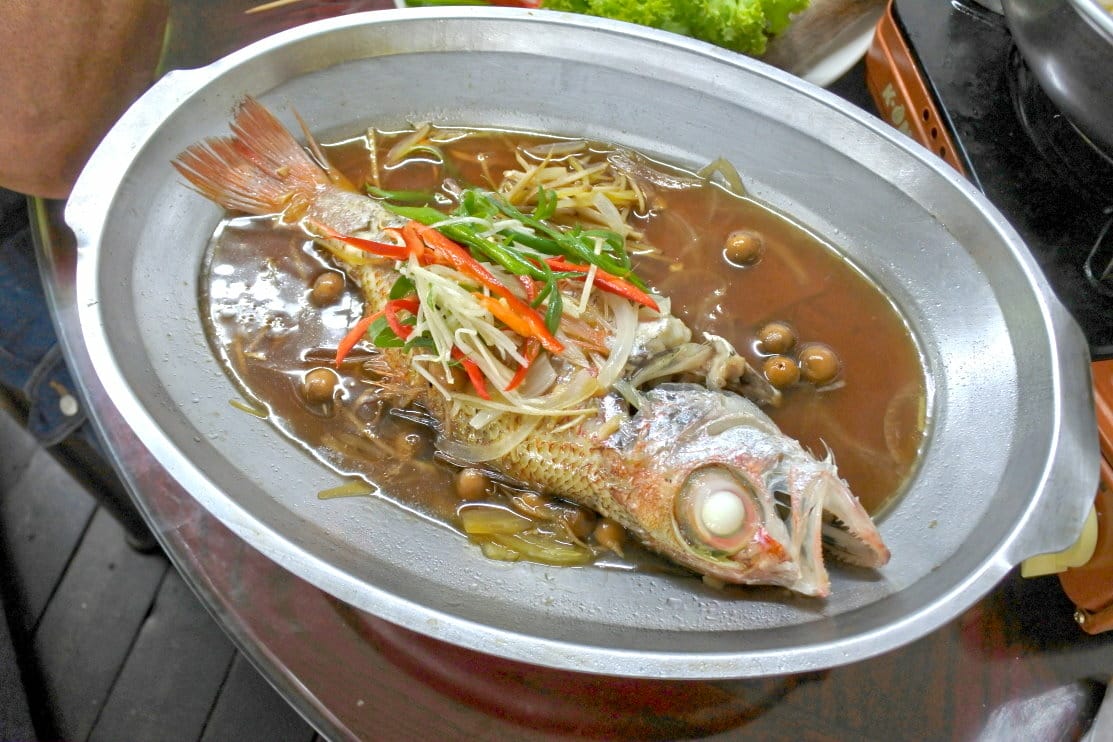 DSC_1511.JPG DSC_1511.JPG