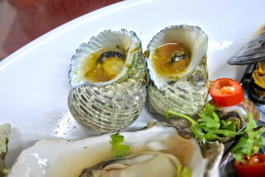 DSC_1498.JPG DSC_1498.JPG