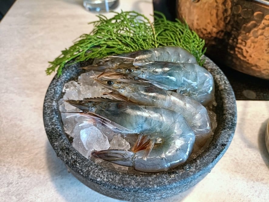 IMG20221225131430.jpg IMG20221225131430.jpg