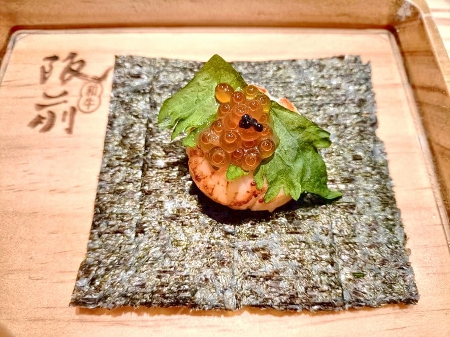 IMG20230212180414_19.jpg IMG20230212180414_19.jpg