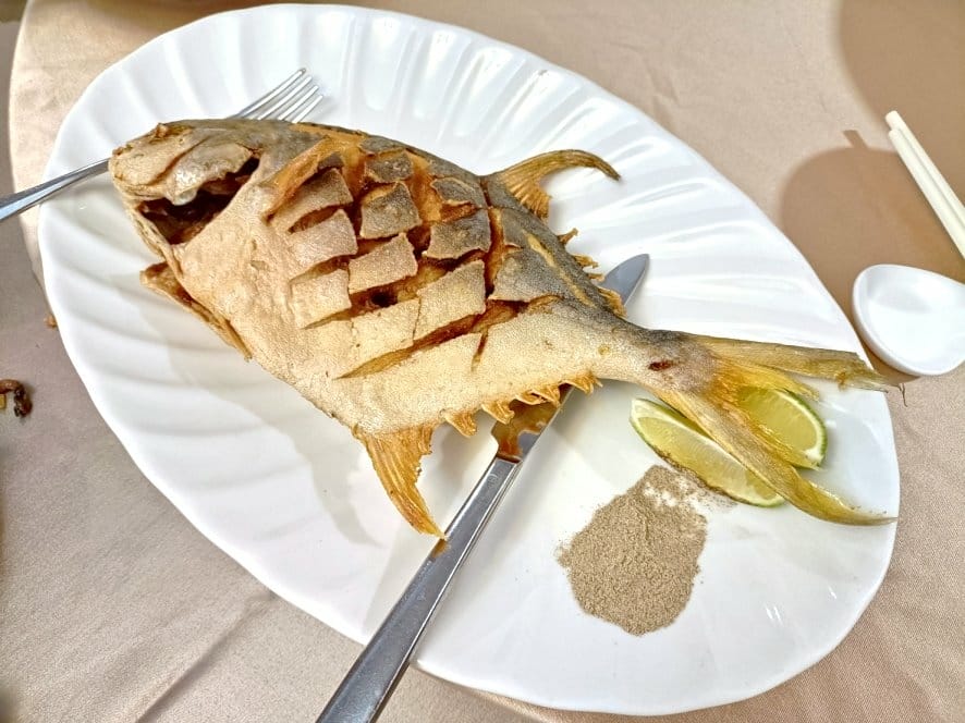 IMG20230311131633_19.jpg IMG20230311131633_19.jpg