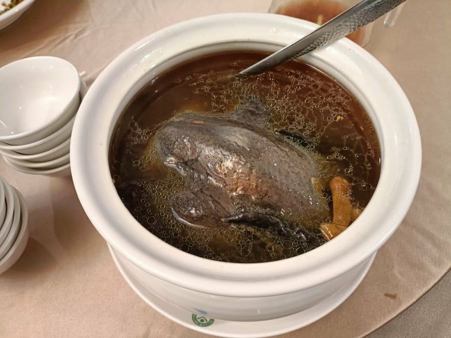 IMG20230311130132_11.jpg IMG20230311130132_11.jpg