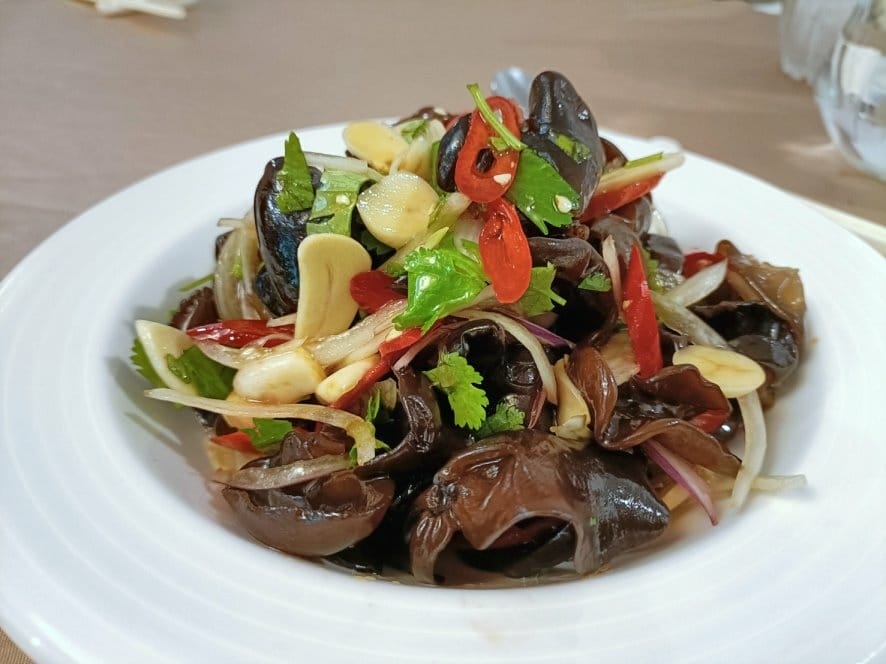 IMG20230311122946_0.jpg IMG20230311122946_0.jpg