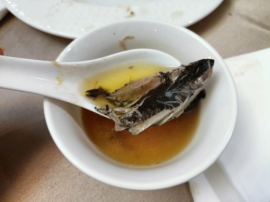 IMG20230311130545_13.jpg IMG20230311130545_13.jpg