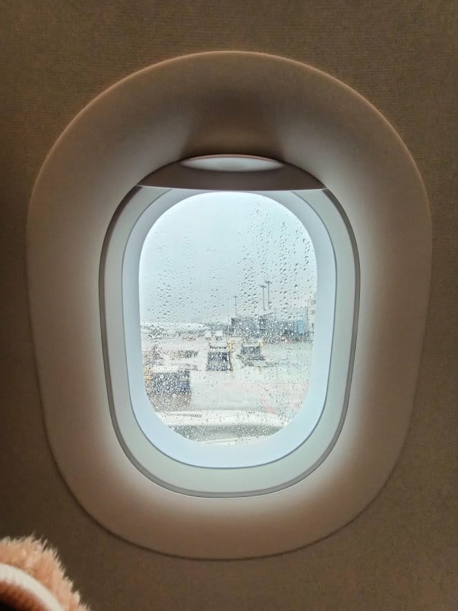 IMG20221204091333_13.jpg IMG20221204091333_13.jpg