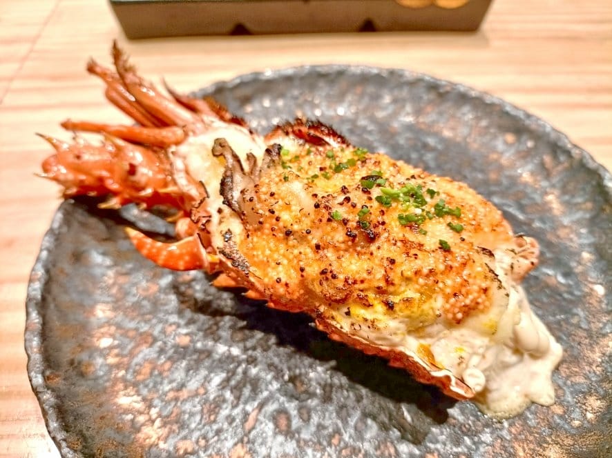 IMG20230728124211_29_0.jpg IMG20230728124211_29_0.jpg