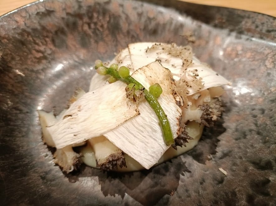 IMG20230728122241_17_0.jpg IMG20230728122241_17_0.jpg