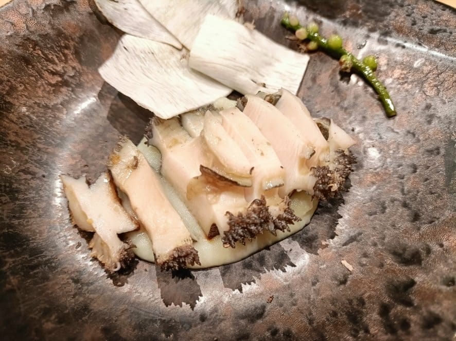 IMG20230728122304_18_0.jpg IMG20230728122304_18_0.jpg