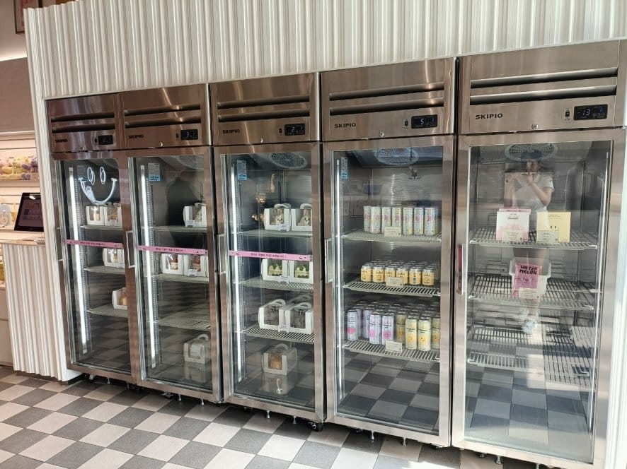 2023韓國釜山| Knotted 甜甜圈 2023韓國釜山| Knotted 甜甜圈