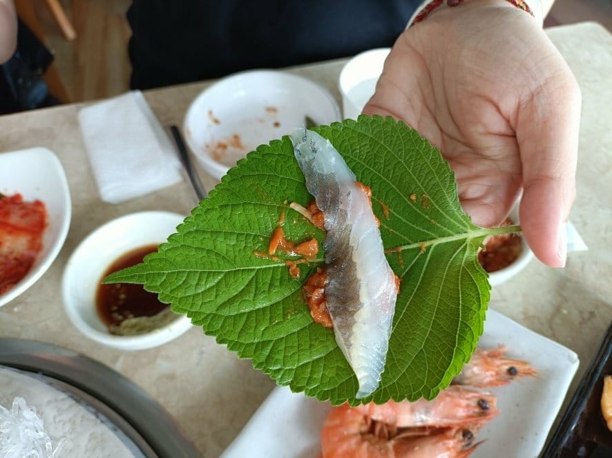 2023韓國釜山|青沙蒲燒烤海鮮套餐 2023韓國釜山|青沙蒲燒烤海鮮套餐