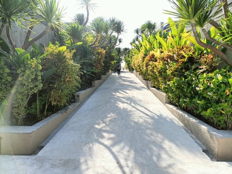 (未設定標題) (未設定標題)