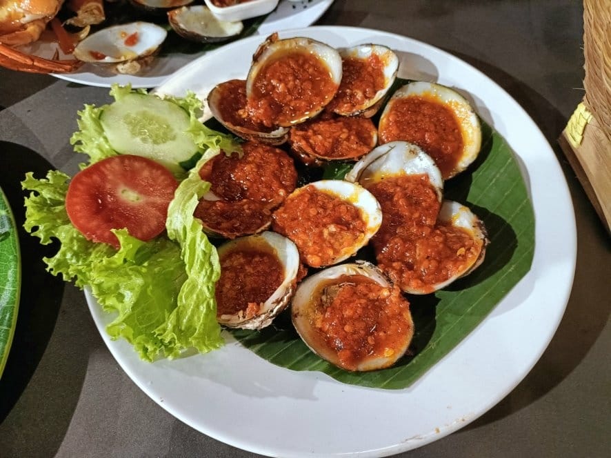 (未設定標題) (未設定標題)