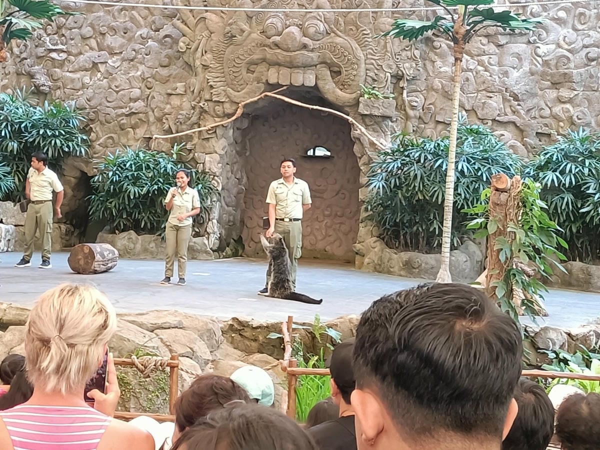 2023峇里島|Bali safari and marine 2023峇里島|Bali safari and marine