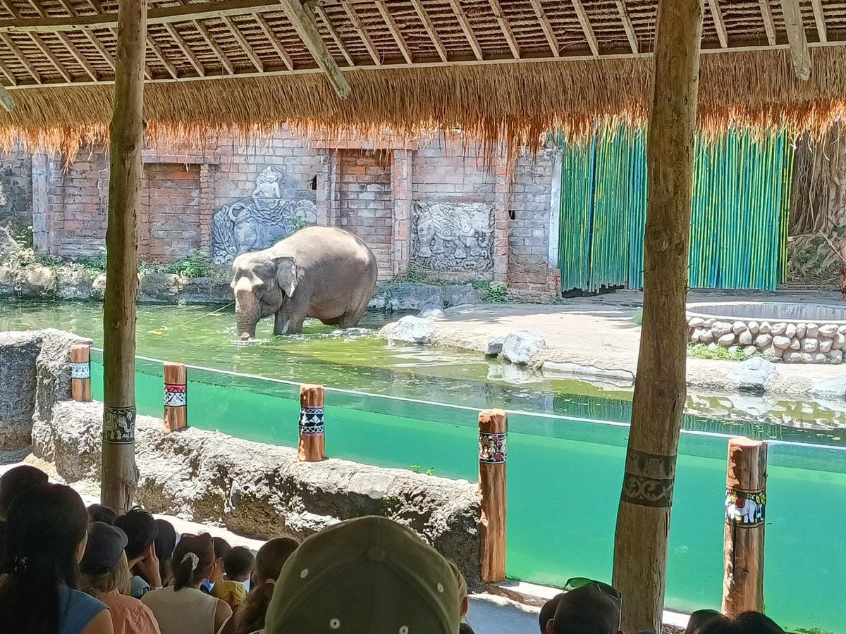 2023峇里島|Bali safari and marine 2023峇里島|Bali safari and marine