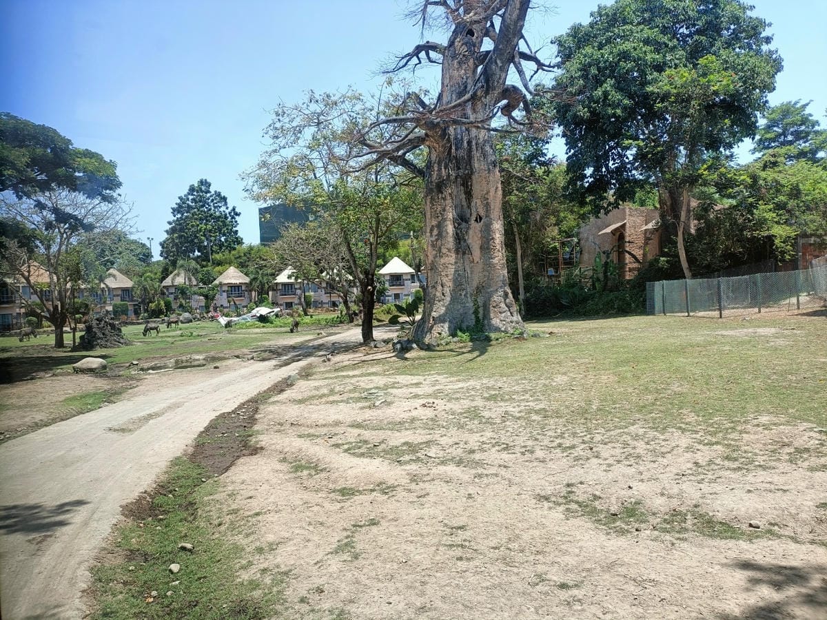 2023峇里島|Bali safari and marine 2023峇里島|Bali safari and marine