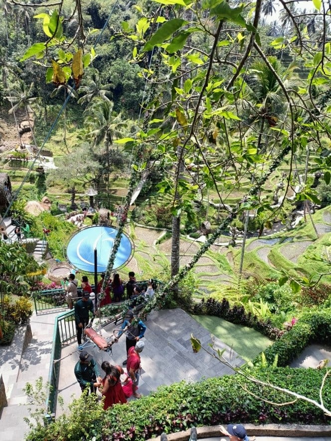 2023峇里島|Alas Harum Bali-德哥拉朗梯田 2023峇里島|Alas Harum Bali-德哥拉朗梯田