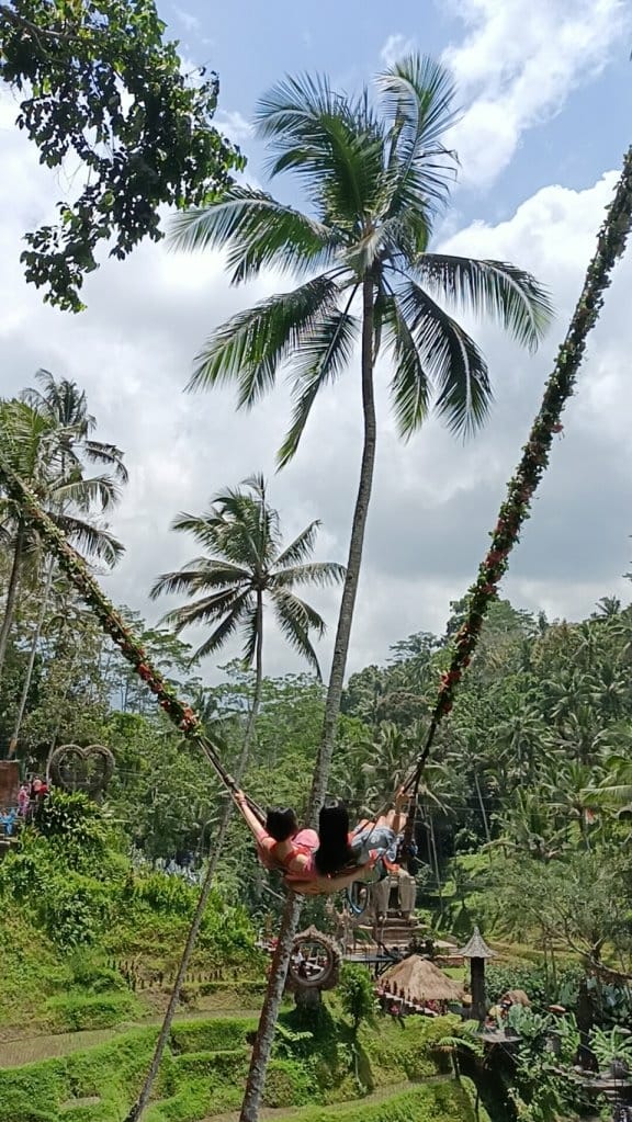 2023峇里島|Alas Harum Bali-德哥拉朗梯田 2023峇里島|Alas Harum Bali-德哥拉朗梯田