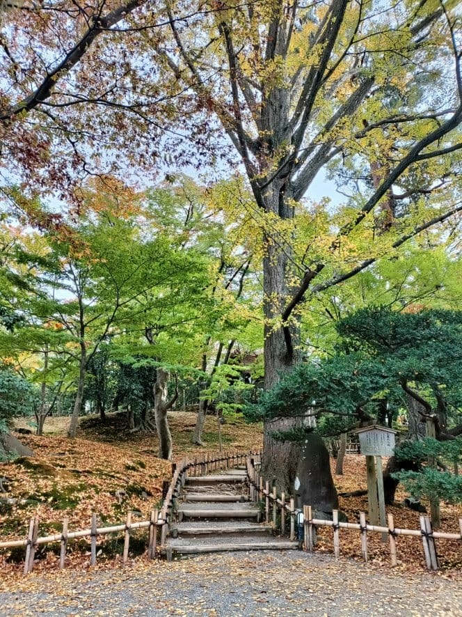 2023日本金澤和倉|兼六園金澤必走景點,從金澤車站到兼六園 2023日本金澤和倉|兼六園金澤必走景點,從金澤車站到兼六園