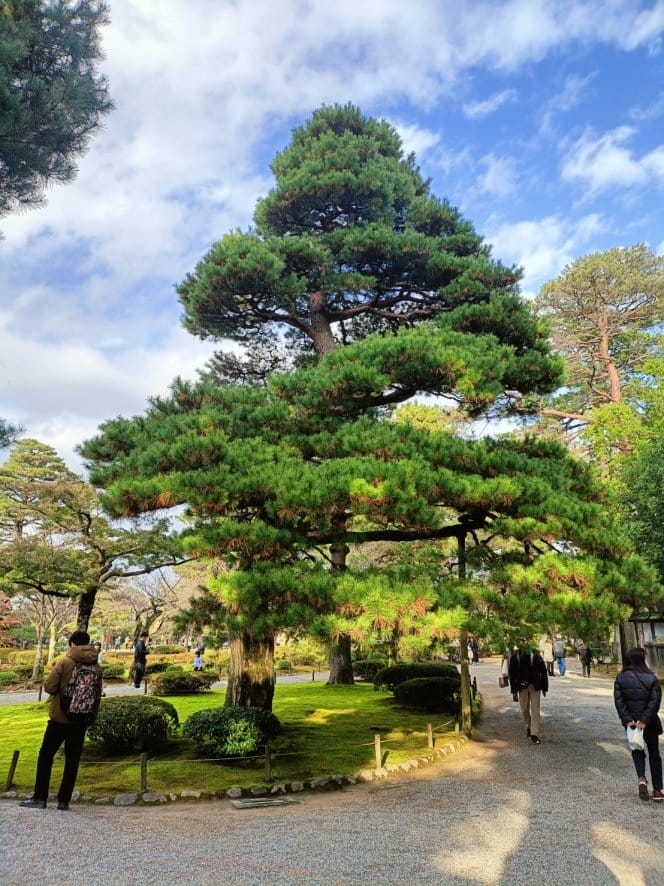 2023日本金澤和倉|兼六園金澤必走景點,從金澤車站到兼六園 2023日本金澤和倉|兼六園金澤必走景點,從金澤車站到兼六園