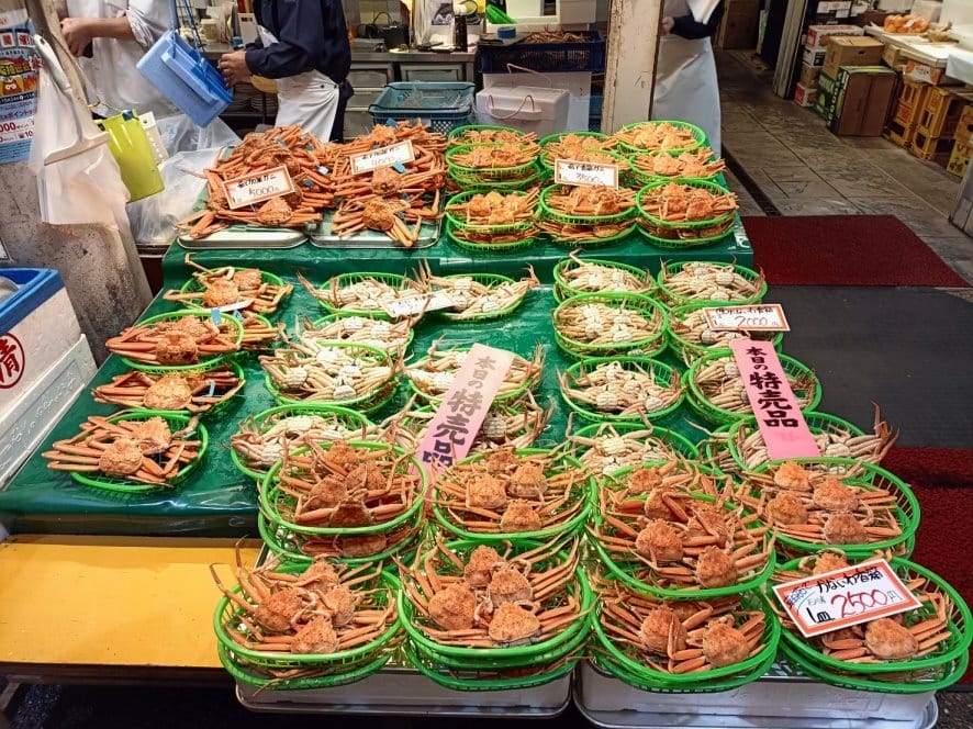 2023日本金澤和倉|近江町市場吃海鮮、秋葉蟹、草莓、麝香葡