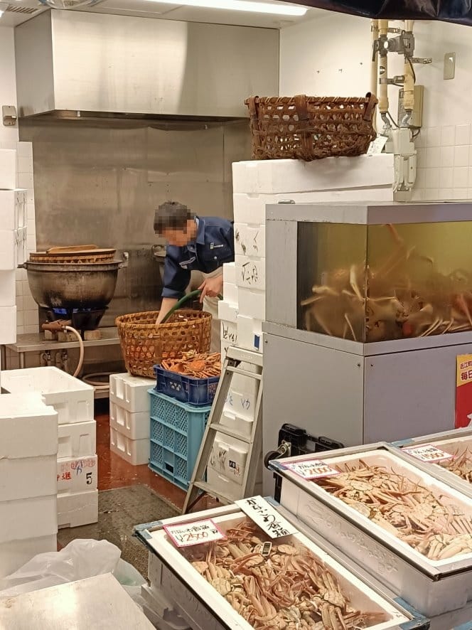 2023日本金澤和倉|近江町市場吃海鮮、秋葉蟹、草莓、麝香葡