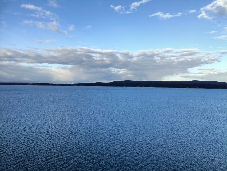 (未設定標題) (未設定標題)