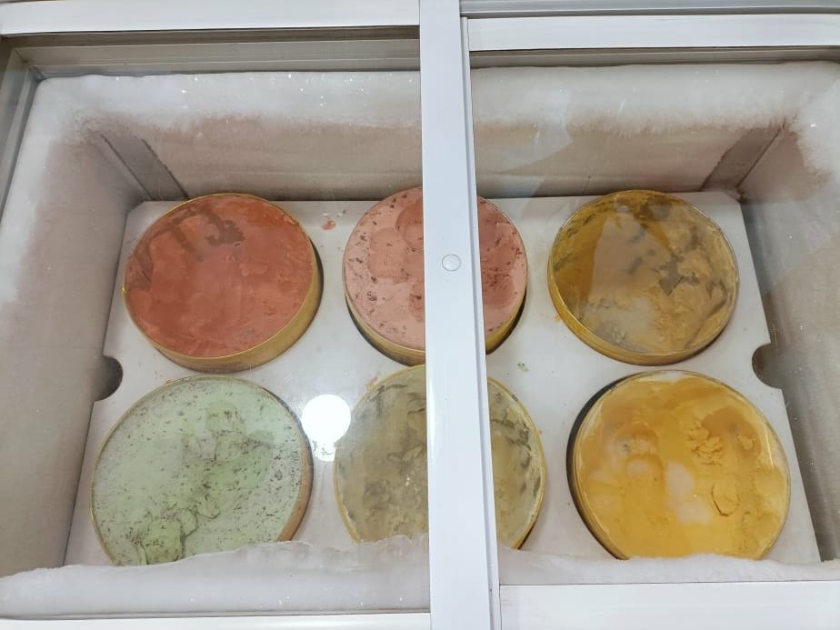 桃園美食|太夯滿足鍋物-中山店。個人平價小火鍋最便宜只要19