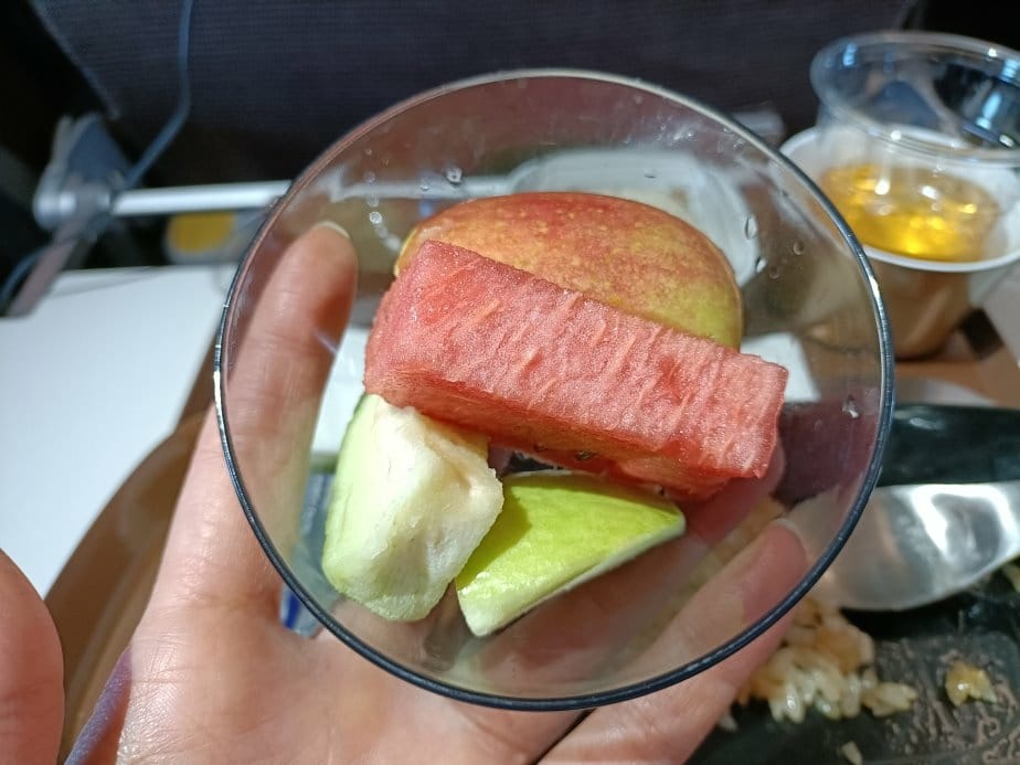 2024越南峴港|星宇航空A321neo,JX703台北飛往 2024越南峴港|星宇航空A321neo,JX703台北飛往