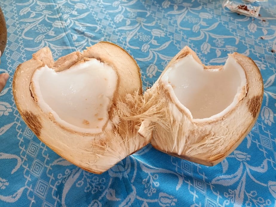 2024越南峴港|迦南島椰林搭竹桶船