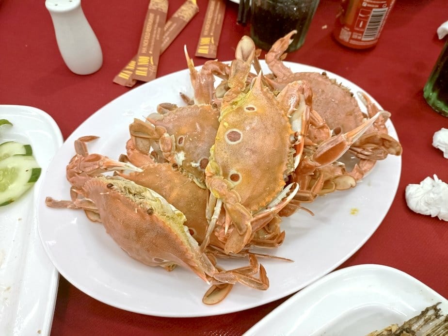 2024越南峴港|會安風味海鮮餐、會安印象主題公園~夜景超美