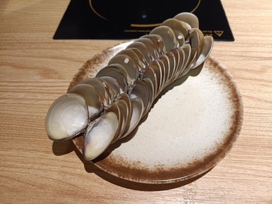 (未設定標題) (未設定標題)