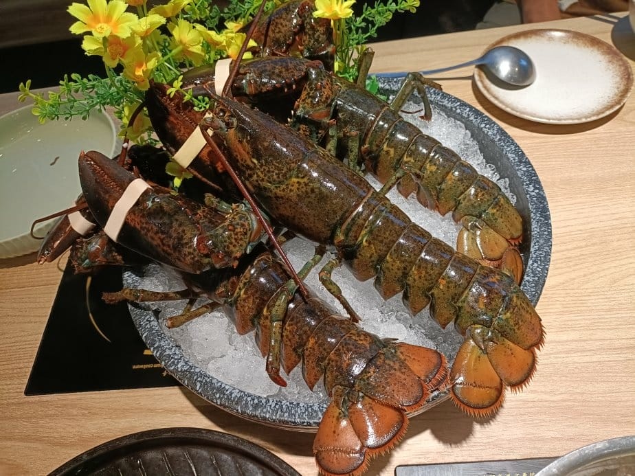 (未設定標題) (未設定標題)