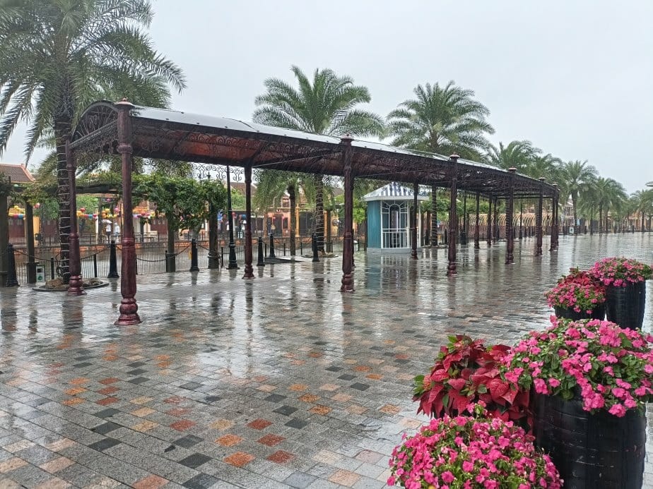 2024越南峴港|會安珍珠樂園~亞洲唯一水上野生動物園、文化