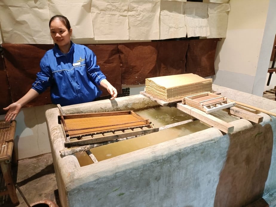 2024越南峴港|會安珍珠樂園~亞洲唯一水上野生動物園、文化