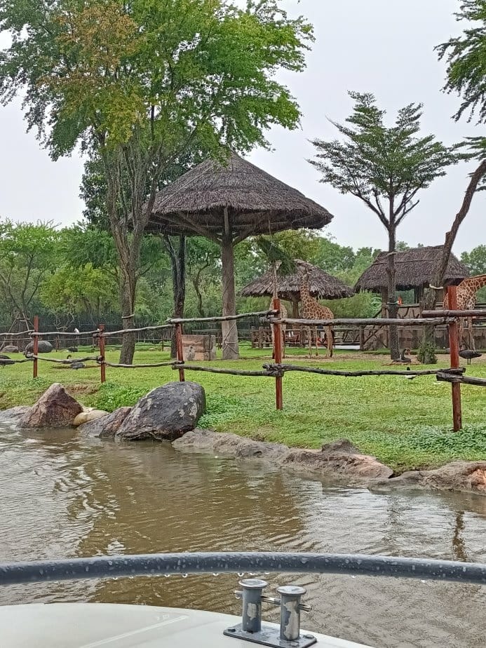 2024越南峴港|會安珍珠樂園~亞洲唯一水上野生動物園、文化