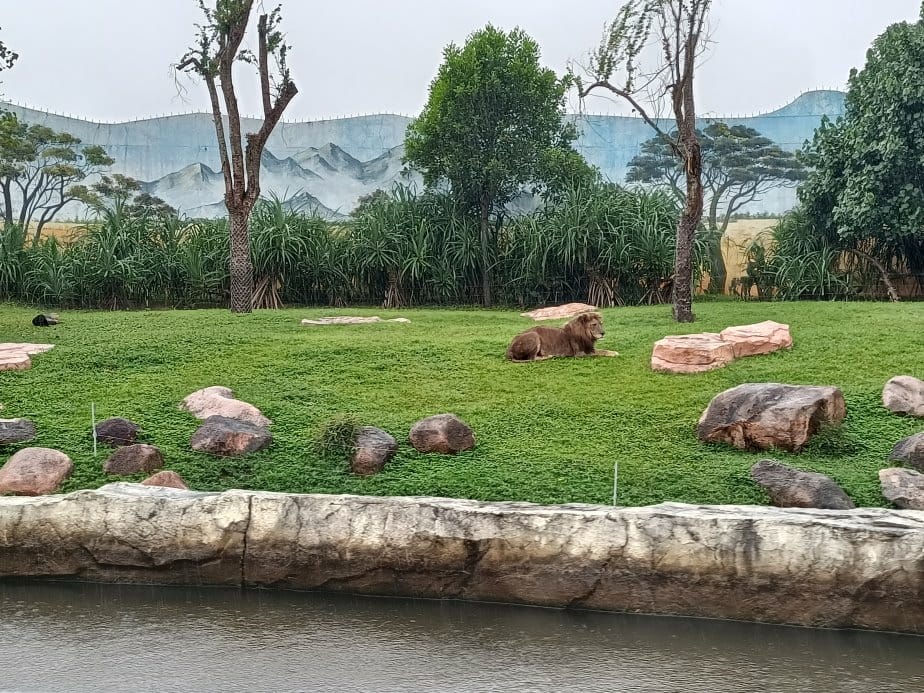 2024越南峴港|會安珍珠樂園~亞洲唯一水上野生動物園、文化