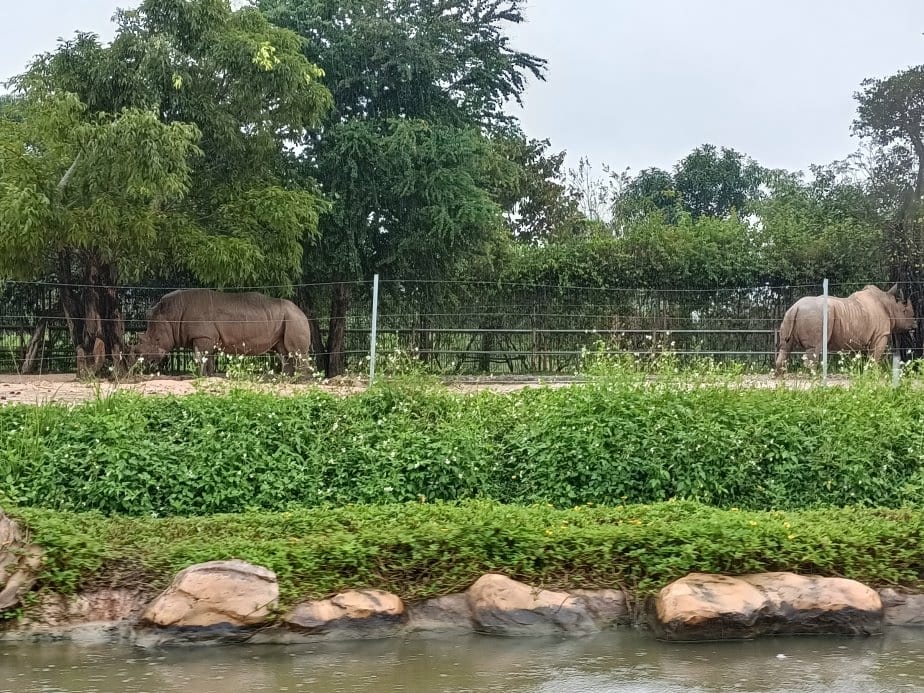 2024越南峴港|會安珍珠樂園~亞洲唯一水上野生動物園、文化