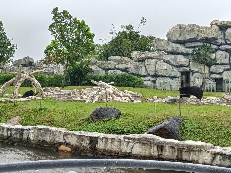 2024越南峴港|會安珍珠樂園~亞洲唯一水上野生動物園、文化