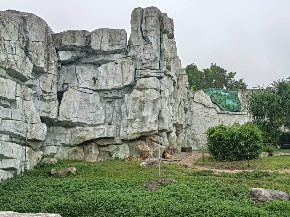 2024越南峴港|會安珍珠樂園~亞洲唯一水上野生動物園、文化