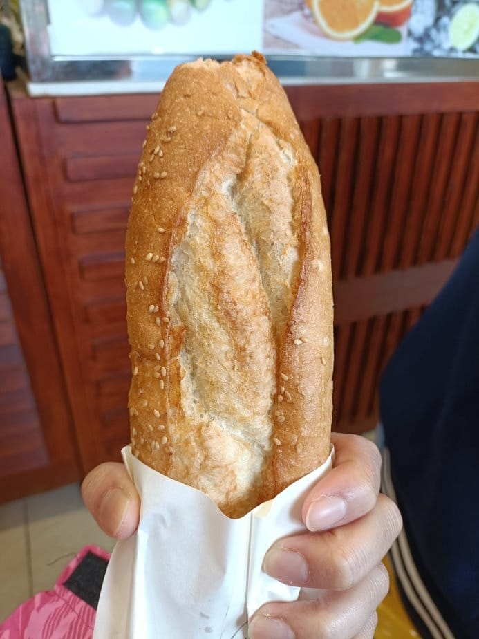 2024越南峴港|會安珍珠樂園~亞洲唯一水上野生動物園、文化