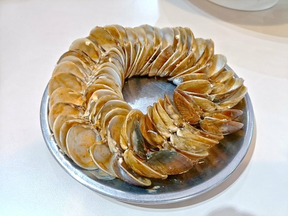 (未設定標題) (未設定標題)