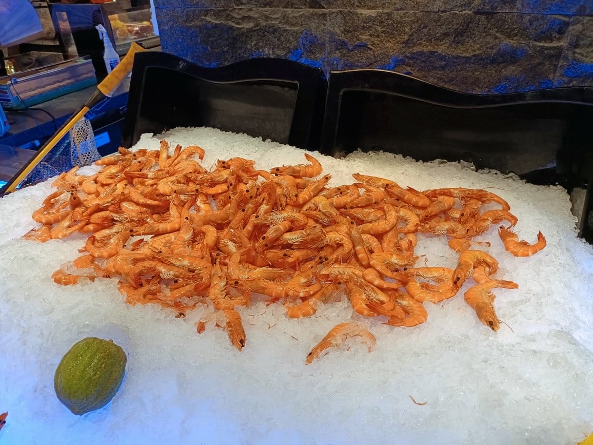 (未設定標題) (未設定標題)